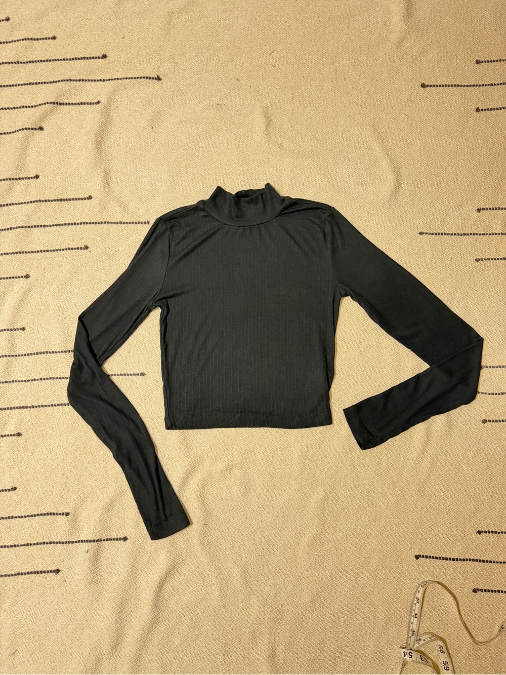 Aritzia Sunday Best Long-Sleeve Mock Neck Crop Top